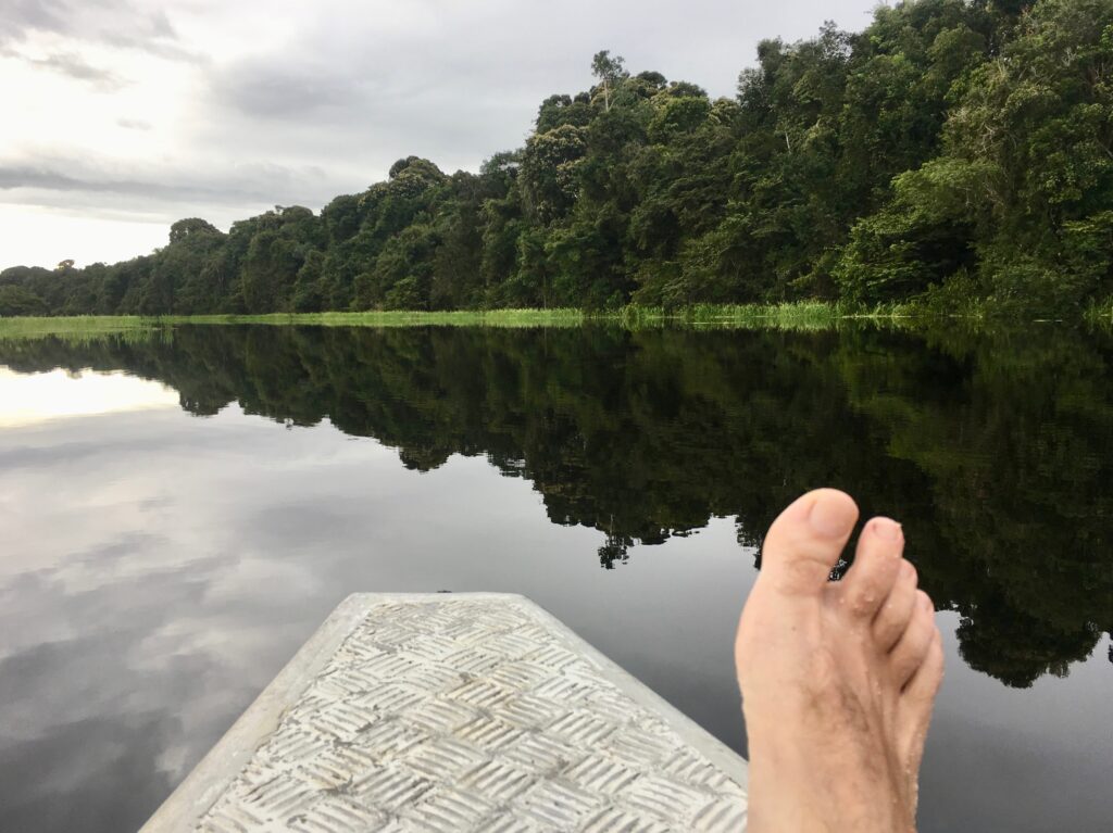 Amazonas 2018