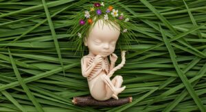 Eco Baby by G/MZ